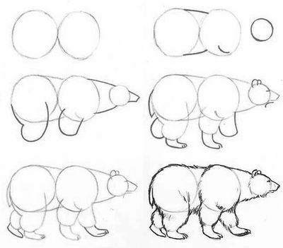 Come disegnare gli animali a fasi con una matita?