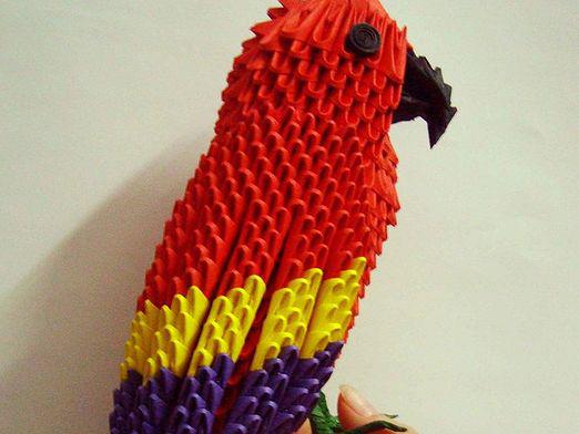 Come fare un pappagallo?