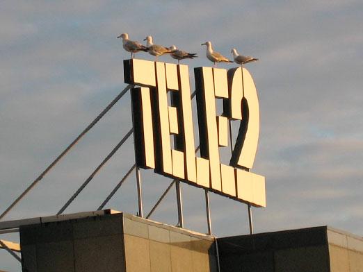 Come scoprire la tariffa Tele2?
