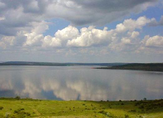 Qual è l'estuario?