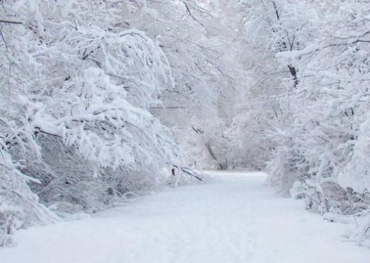 Cos'è la neve?