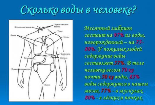 Quanta acqua c'è in una persona?